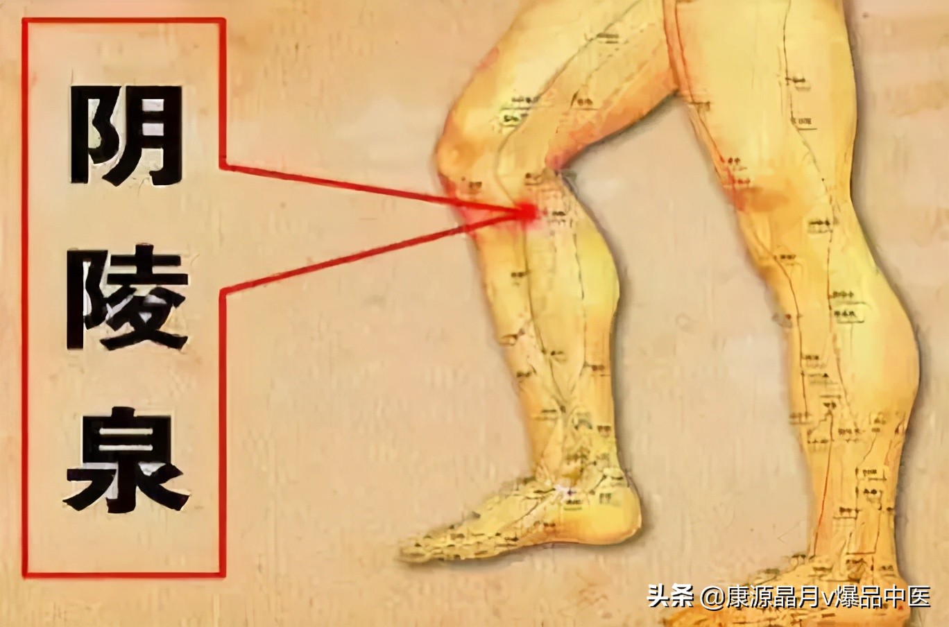 健脾不一定吃药，身体就自带“药房”