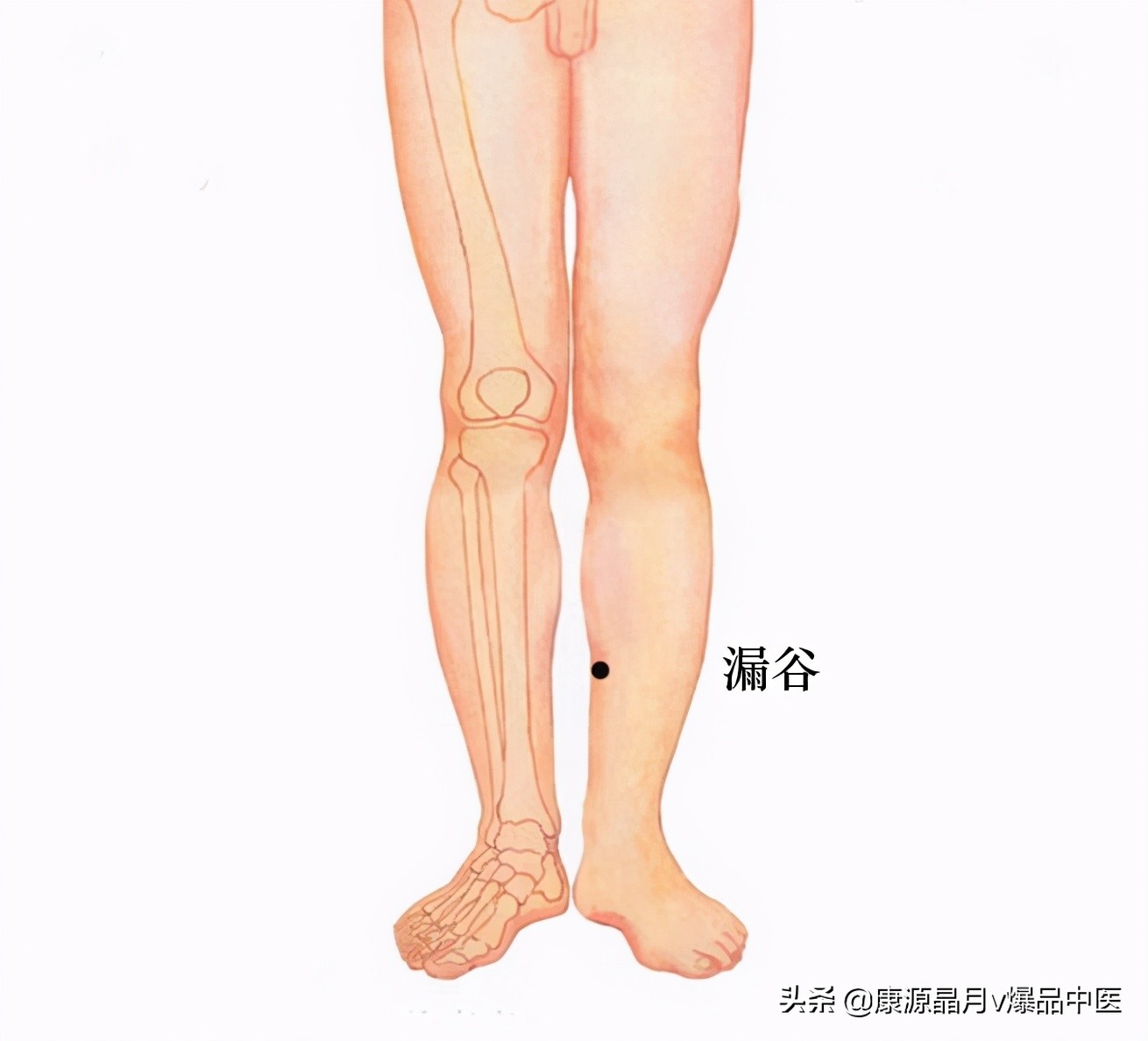 健脾不一定吃药，身体就自带“药房”
