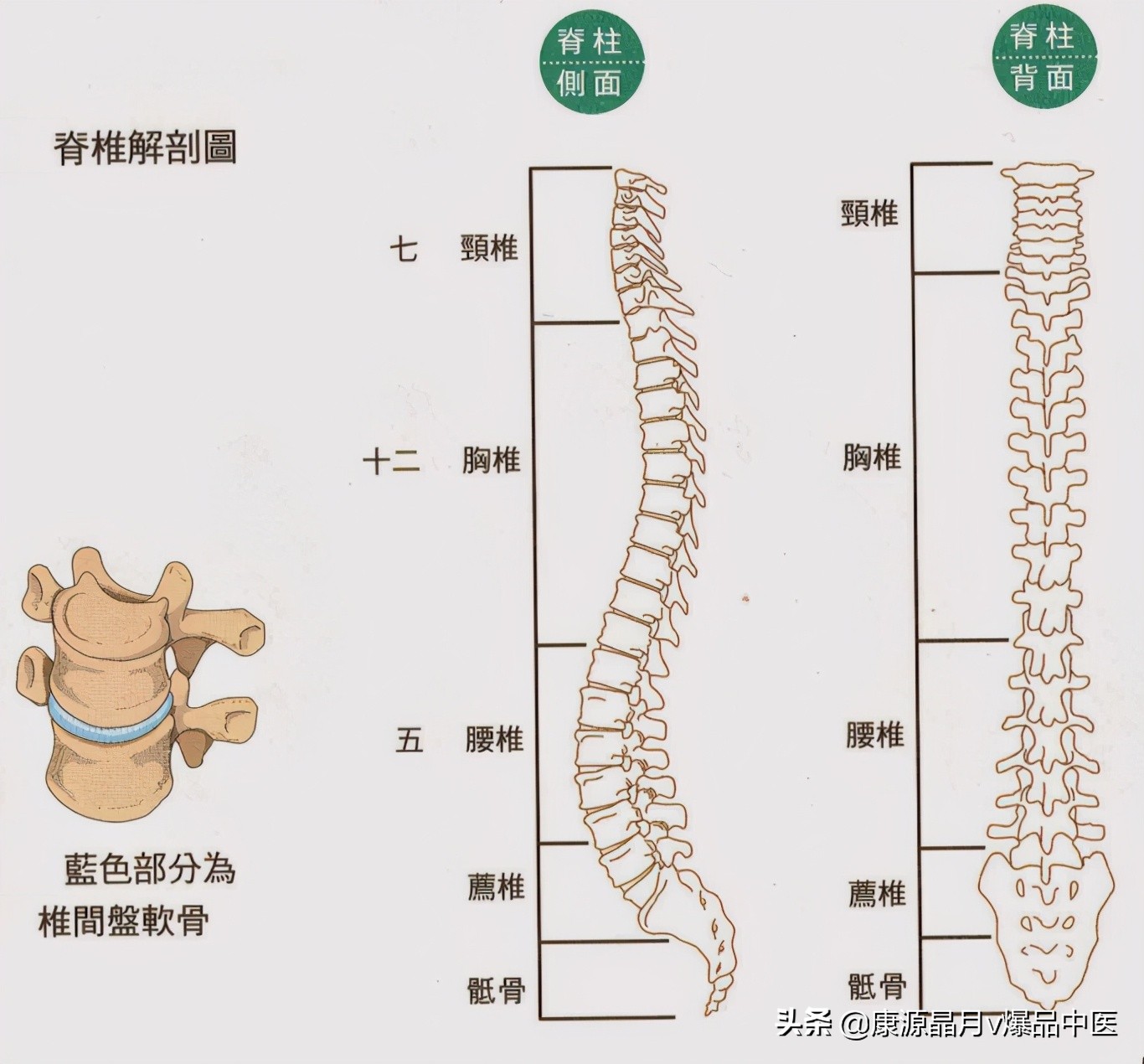 经典触诊口诀-快速有效记忆