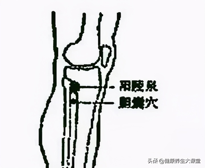 十二个穴道的功能主治