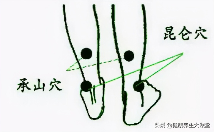 十二个穴道的功能主治