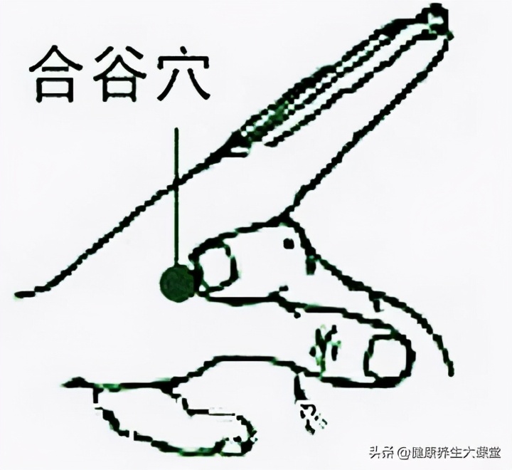 十二个穴道的功能主治