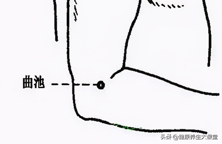 十二个穴道的功能主治