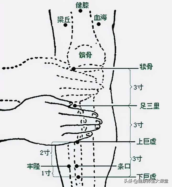 十二个穴道的功能主治