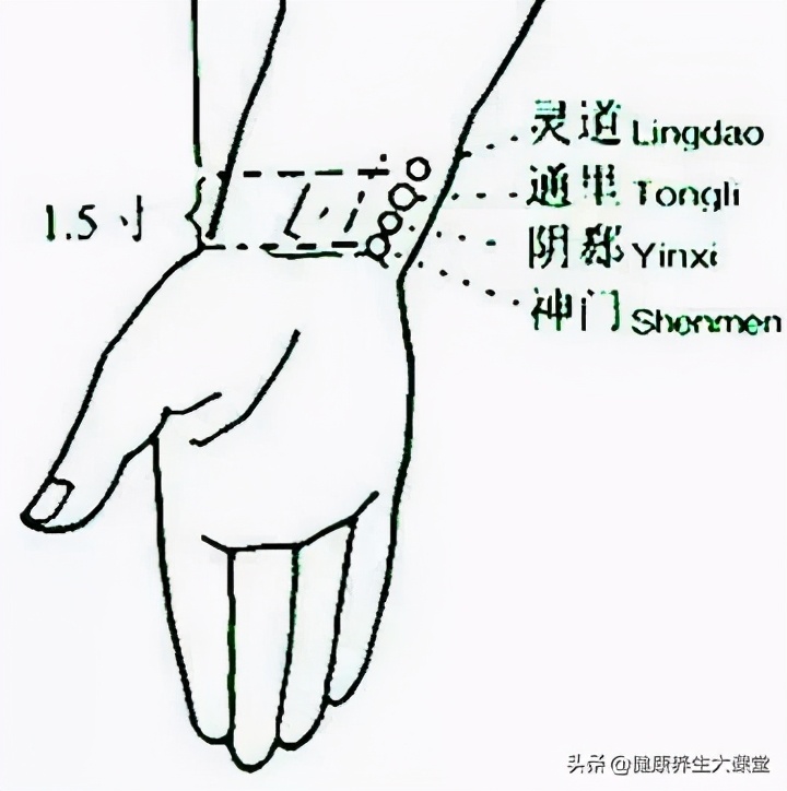 十二个穴道的功能主治