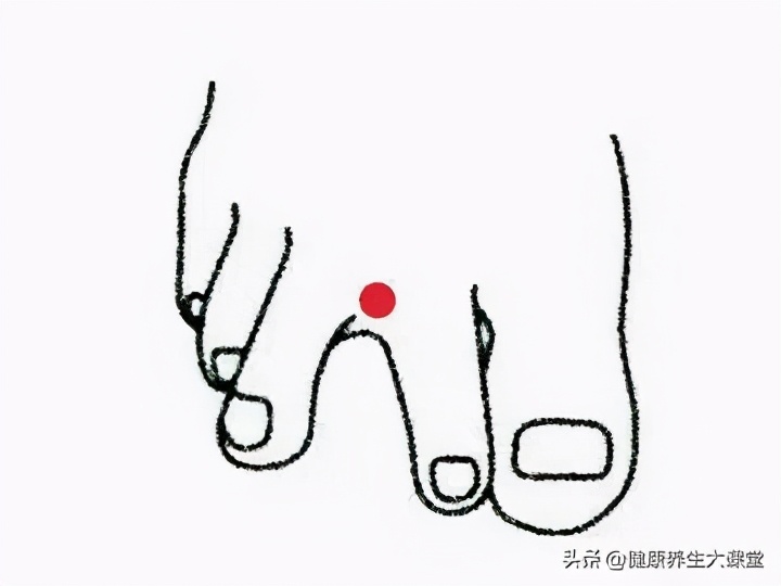 十二个穴道的功能主治