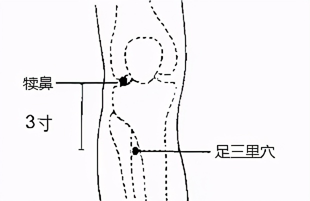 头痛、牙痛、落枕、腰痛……，“指压”立竿见影