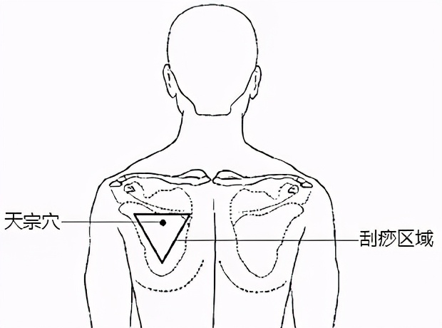 头痛、牙痛、落枕、腰痛……，“指压”立竿见影