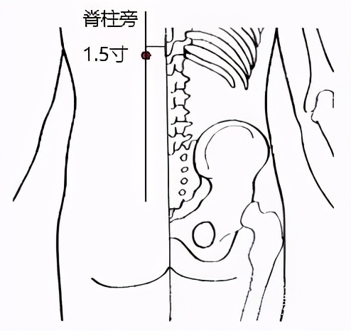 头痛、牙痛、落枕、腰痛……，“指压”立竿见影