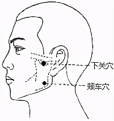 头痛、牙痛、落枕、腰痛……，“指压”立竿见影