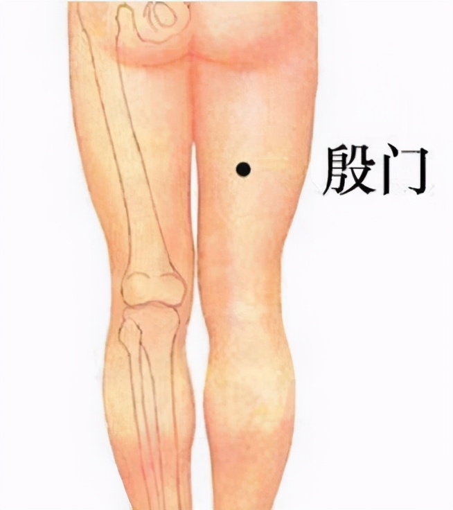 中医基本常识—人体10大重要穴位的功能