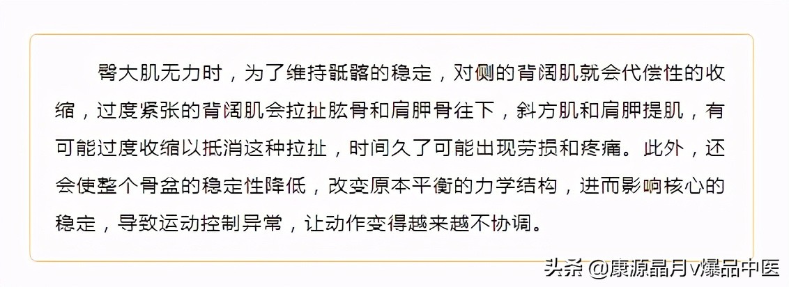 久坐腰背痛，多跟这7组肌肉有关