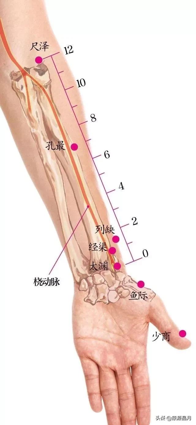 人体这8个穴位尤其重要，是脏、腑、气、血汇聚之地