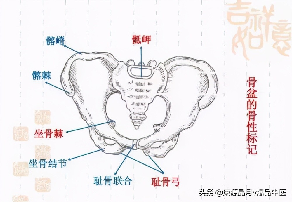 针刀治疗腰臀部疼痛