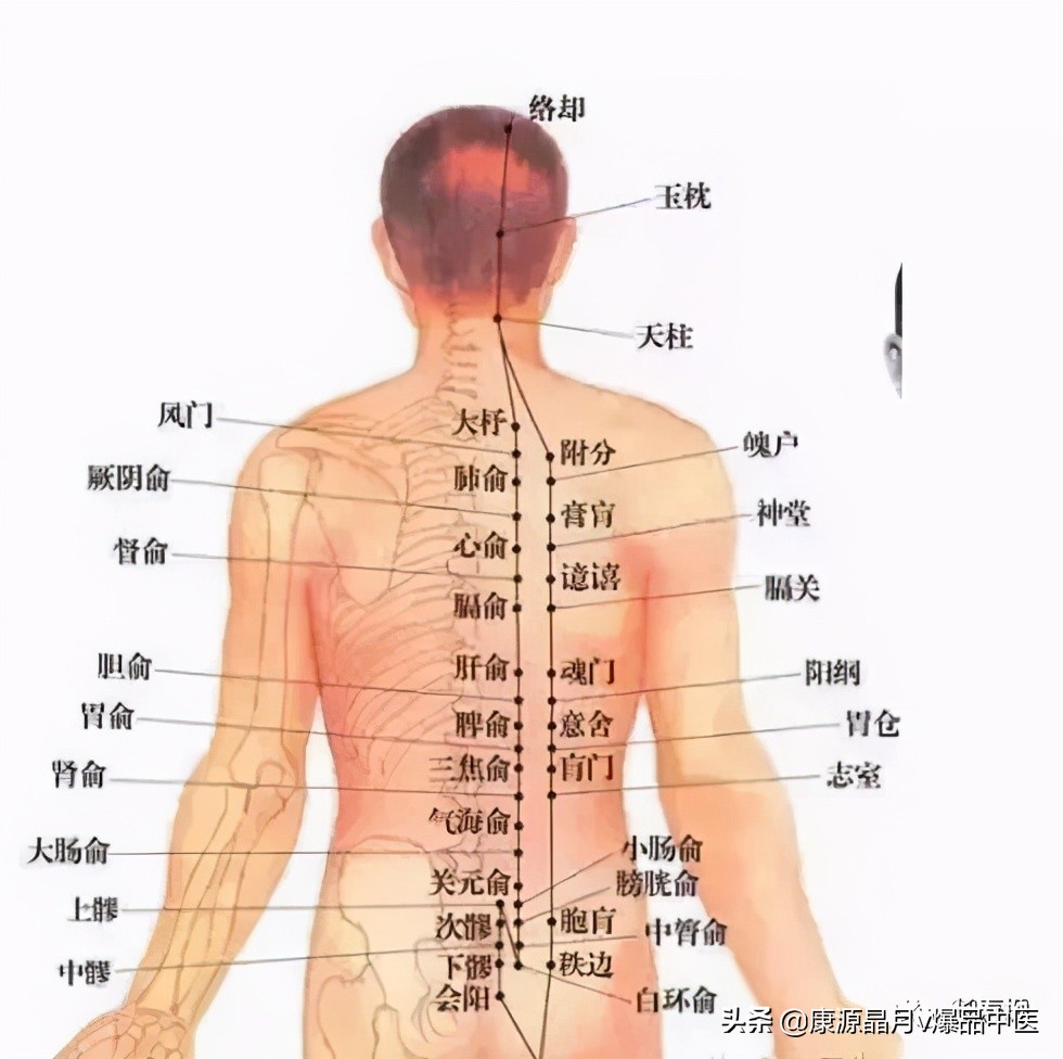 委中穴调多病，放血可治腰痛恶疮、顽癣