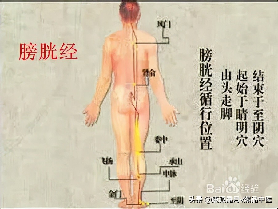 背部膀胱经，人体最大的排毒通道