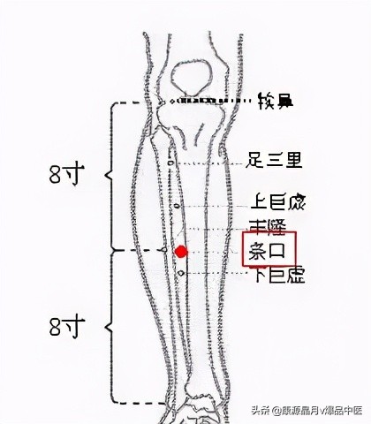 各种痛症的针灸治疗大全