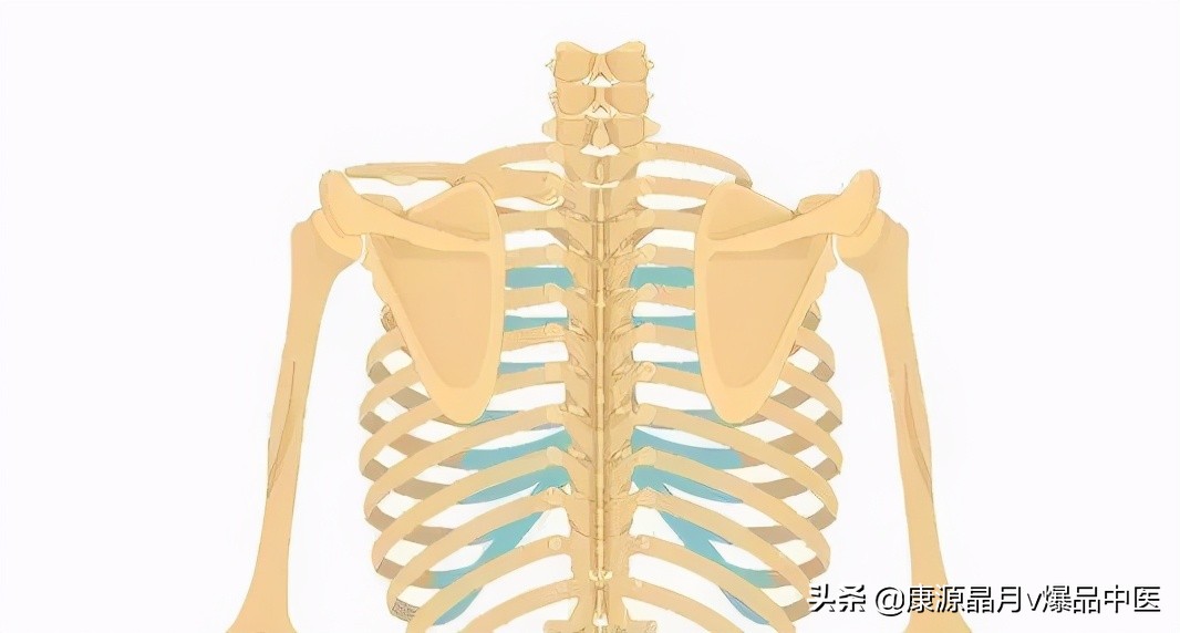 肩胛骨内侧缘痛的简单分析