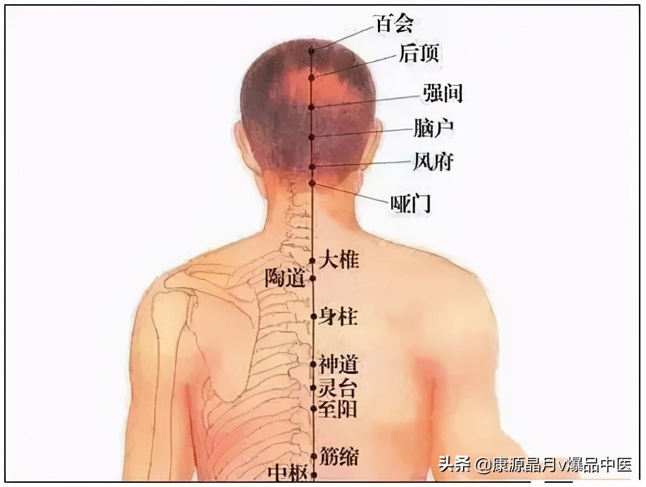 颈椎分七段，每段不好都会产生不同的疾病