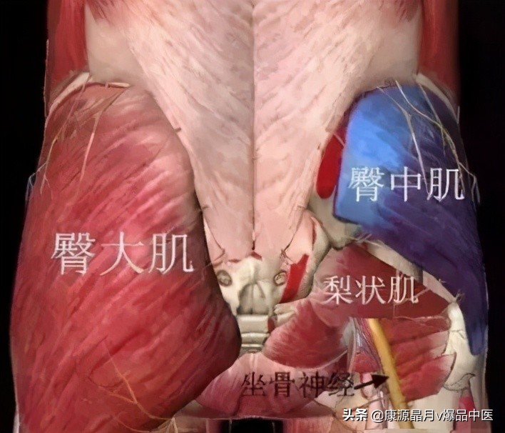 大腿疼痛的各种诊断