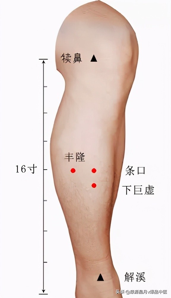 必看！22种疼痛的针灸治疗图解来了