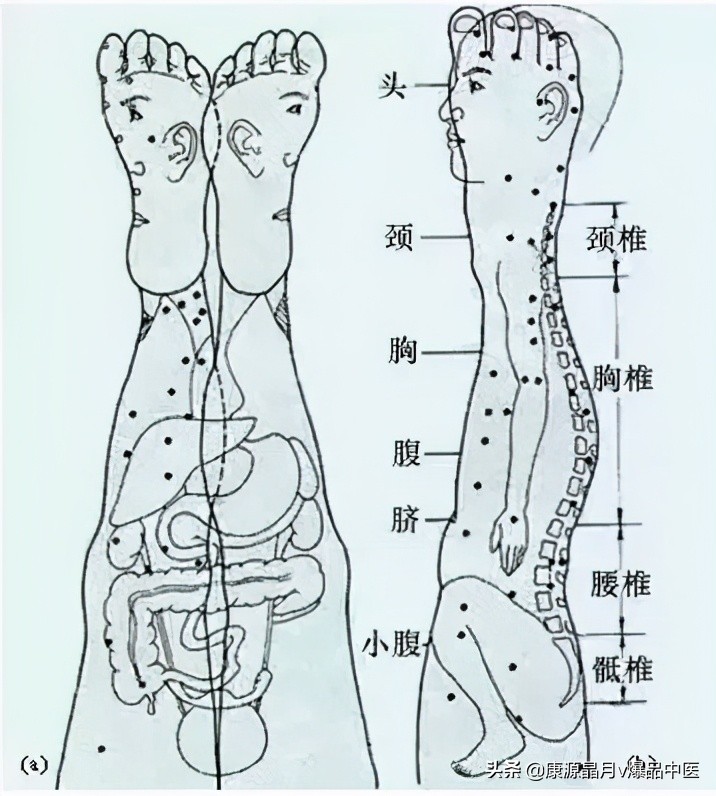 针灸、按摩全息图之精髓