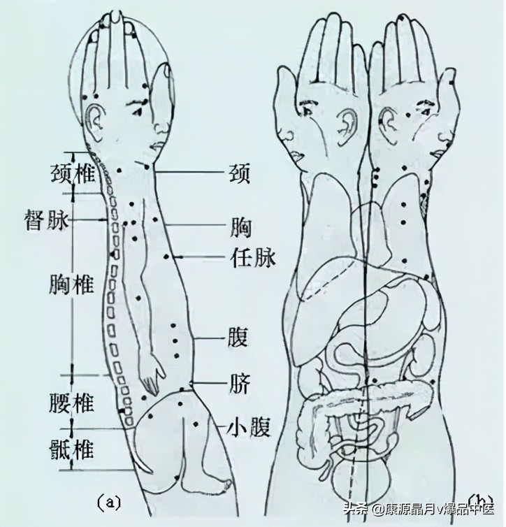 针灸、按摩全息图之精髓