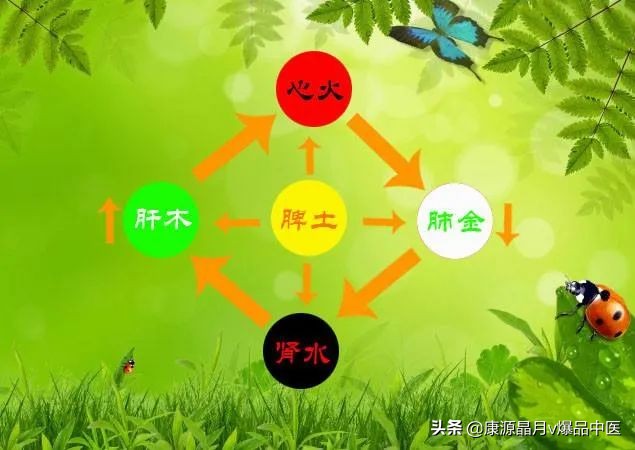 补脾，是调理一切疾病的关键