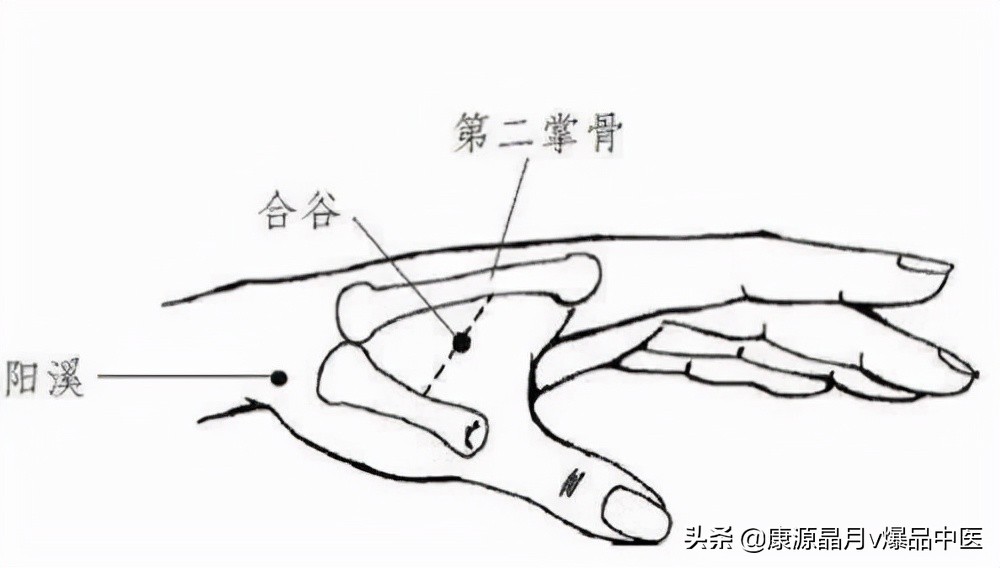 耳穴、艾灸治疗鼻炎的针灸疗法