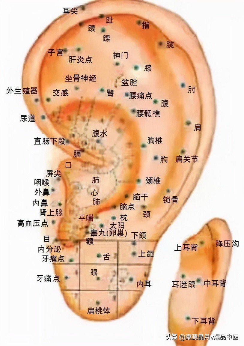 耳穴、艾灸治疗鼻炎的针灸疗法