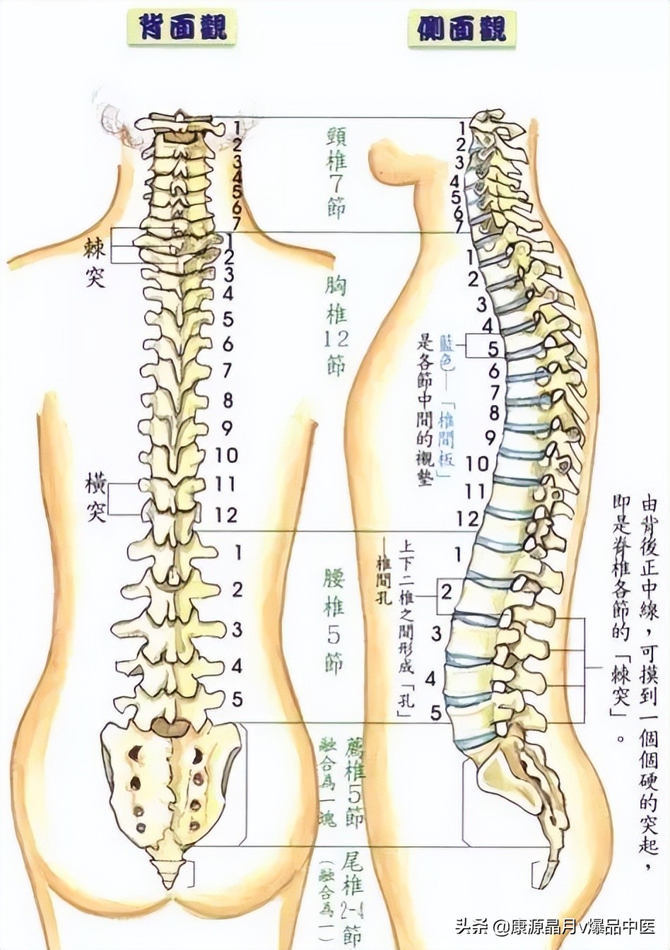 脊柱从上按到下，异常疼痛的地方，可能是大病