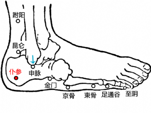 穴位阿是穴、大钟、仆参.png