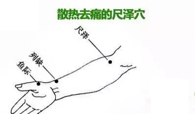 肱二头肌作用.png