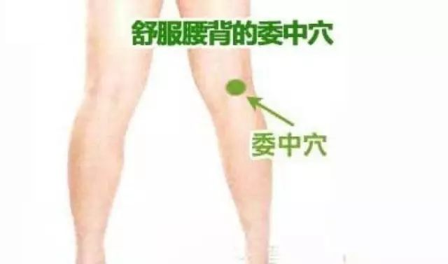 补血养肝的血海穴.png